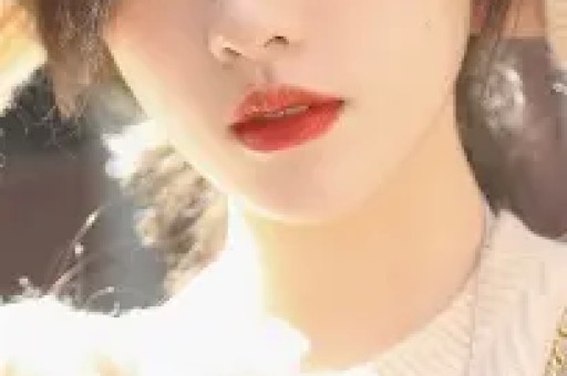 木府风云